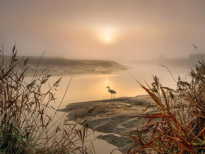 Upon an Upturned Bench at Kenilworth Marsh: poem by Alan Abrams