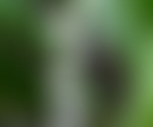 When the Time Comes: poem by Cynthia Pitman