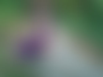 an ode to essence: three poems by Olga Dugan