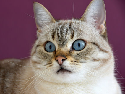 Tuesday Tips: Read in front of people? Me?