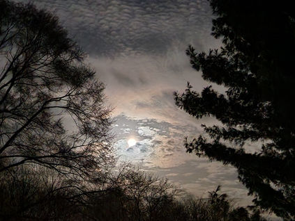 Light in the Darkness: Poems and Photo by Laura Deschenes