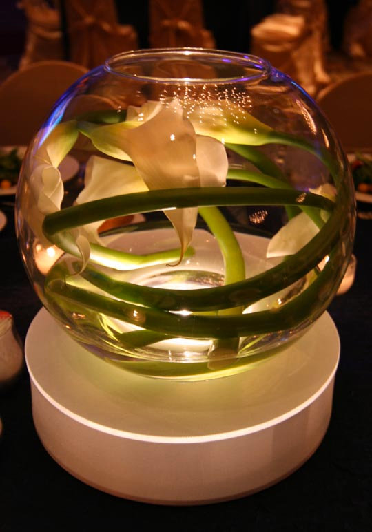 Bubble Bowls