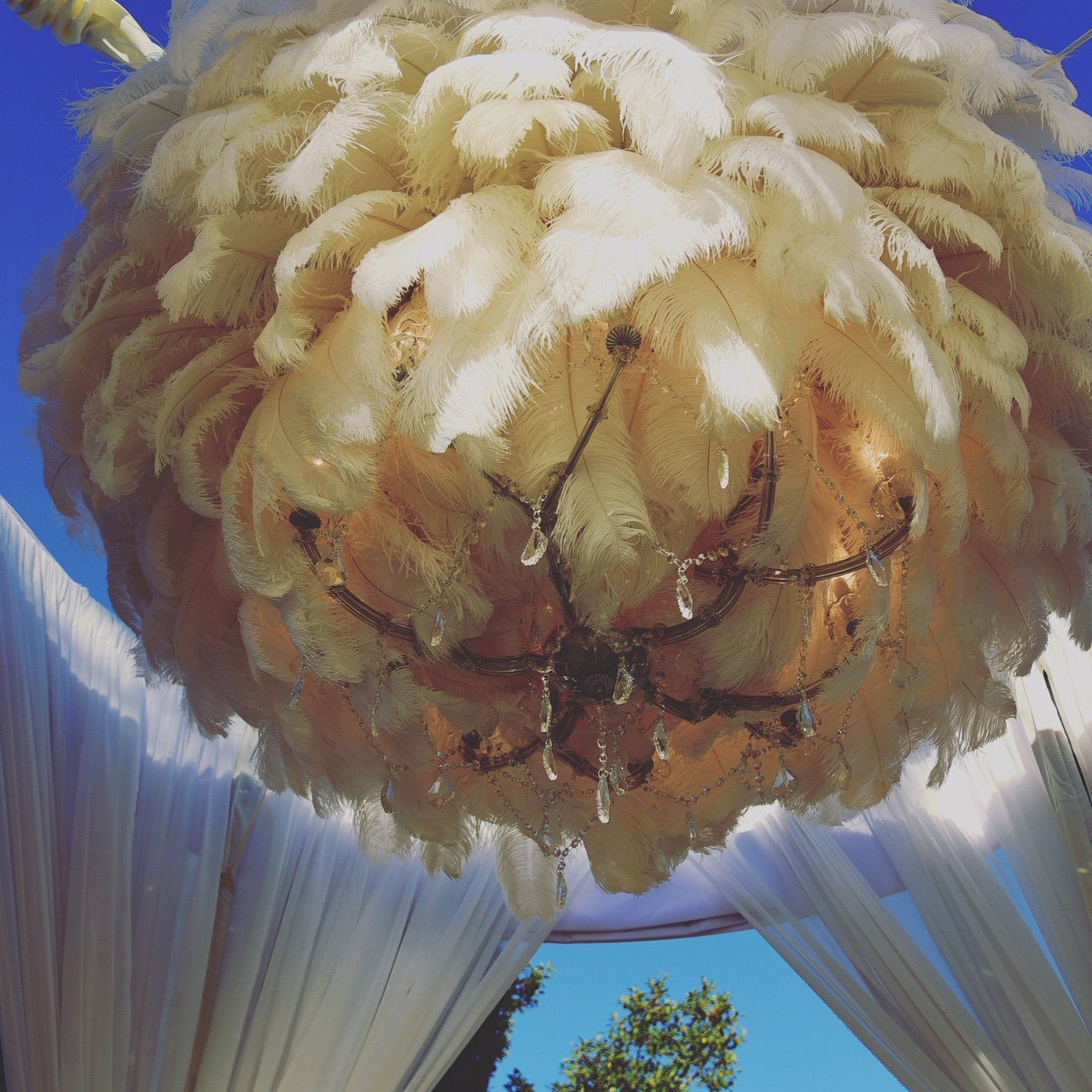 Feather Chandelier