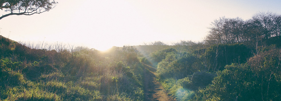 Sunlit Nature Path_edited.jpg