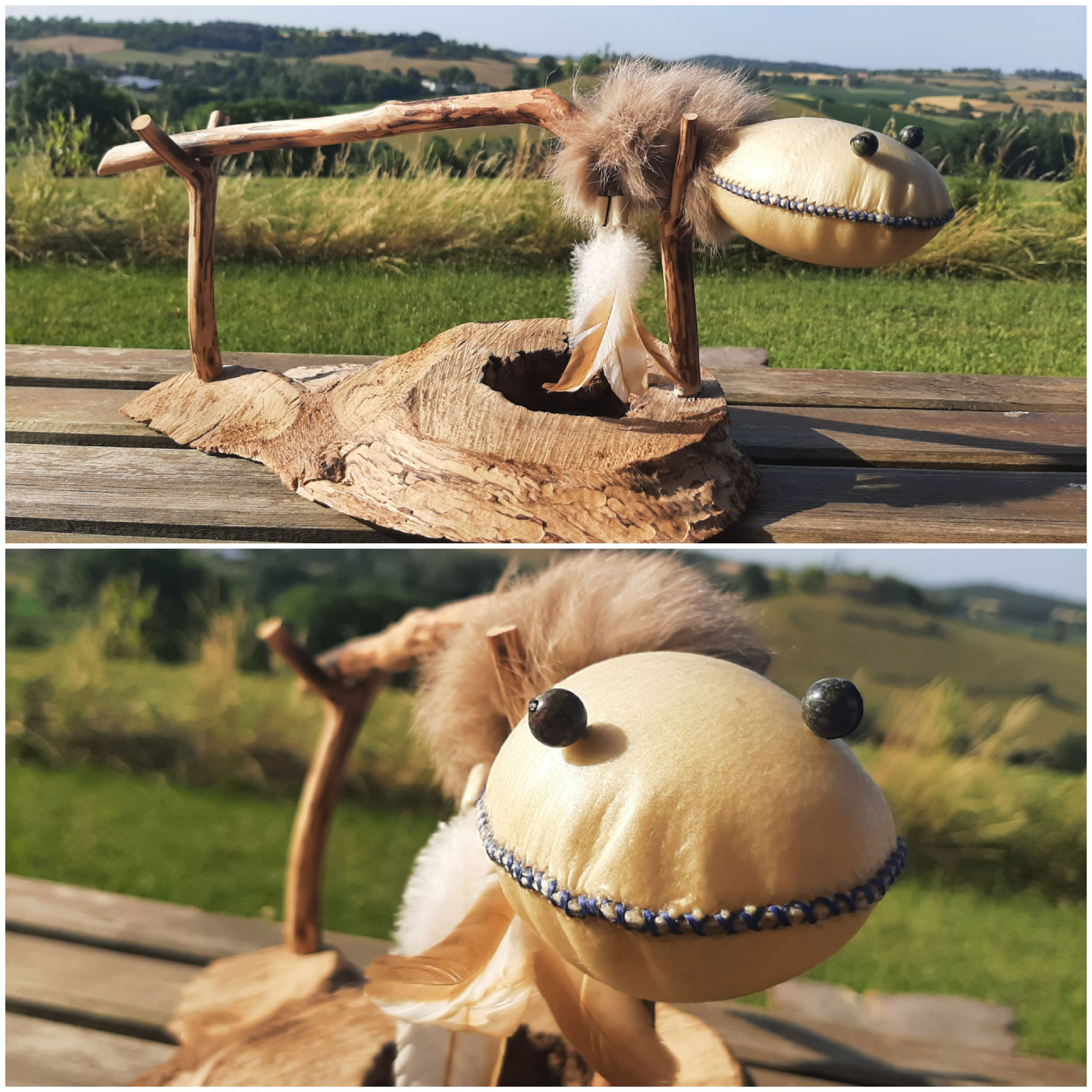 Esprit de la Tortue