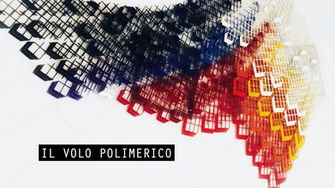 IL VOLO POLIMERICO
mostra a cura di Michela Ongaretti