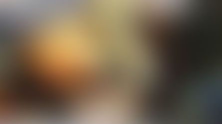 “NATURA, SOGNO, FRANTUMAZIONI”