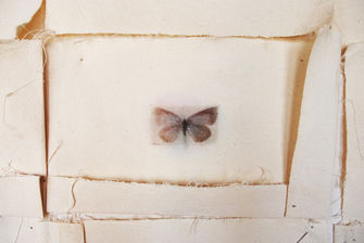 “TUO IL SOGNO, MIA LA FERITA”