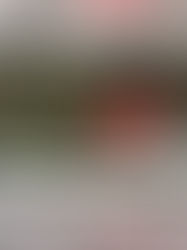 Arte - "Club 57" - MoMa New York