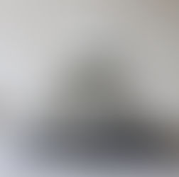 MARA VAN WEES 
L’arte di misurare la terra