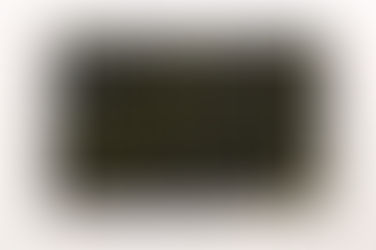 GIULIA MARCHI E MAGNUS FREDERIK CLAUSEN
Grass is greener