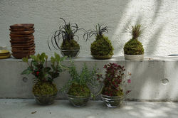 写真 2015-09-25 15 23 28