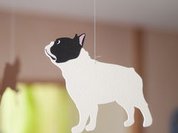 写真 2015-10-05 2 14 36