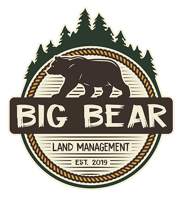 Big Bear Colorized.png