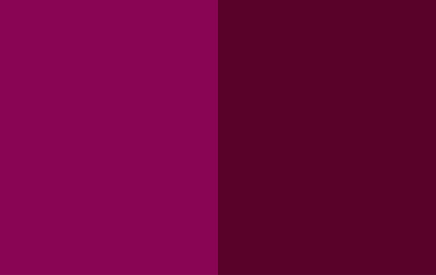 bg.2.png