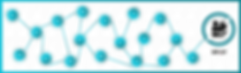 SAPE-path (1).png
