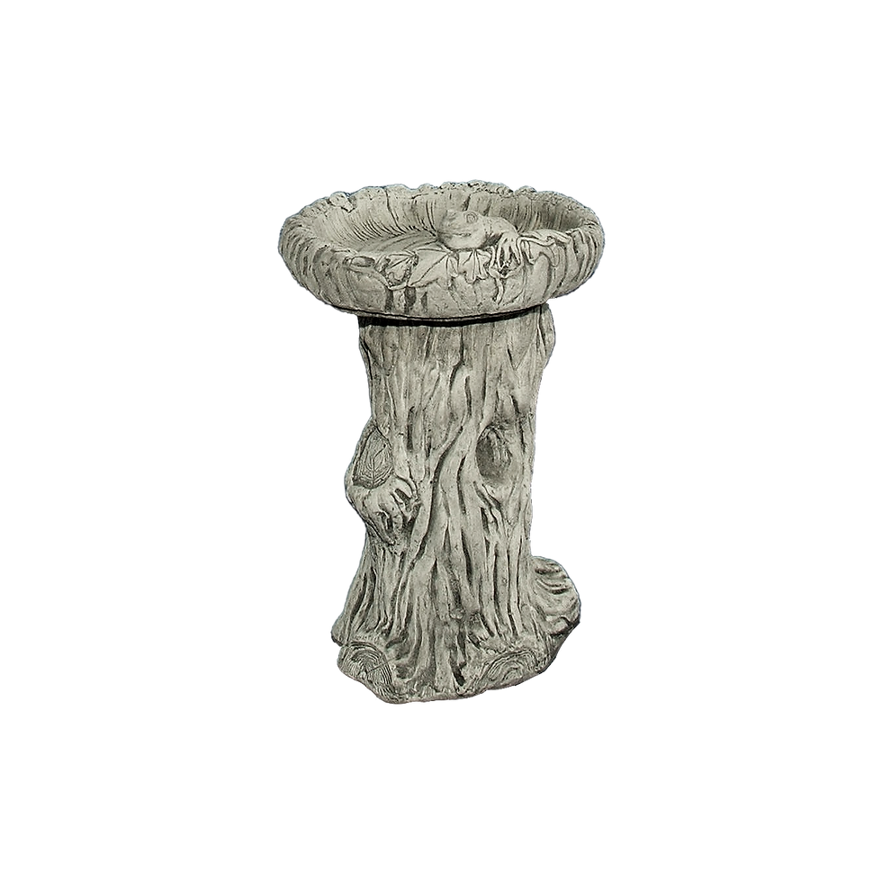 Frog Bird Bath Dream Gardens