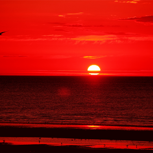 Conjoined Soul Mates