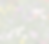 wildflowers_edited_edited.png
