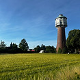 IMG_3144.JPG