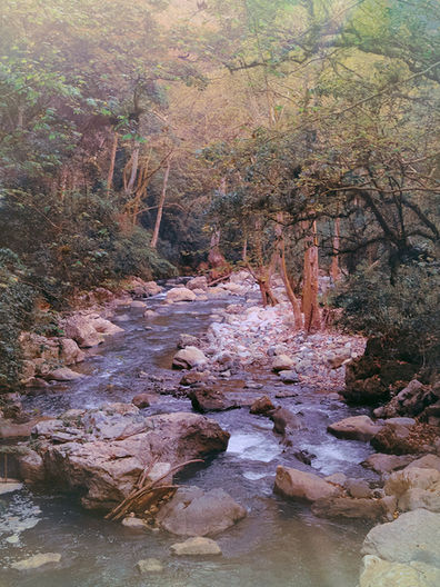 art, photography, dream, landscape