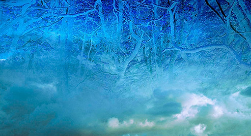 2202_Landscape_Mexico_Bodhi Shola_Dream.jpg