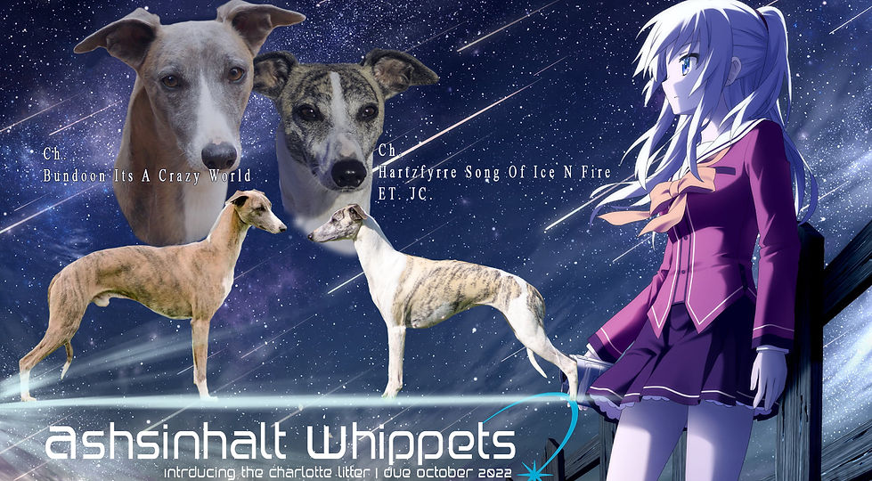 Charlotte Litter.jpg