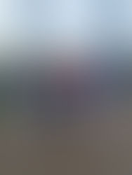 11th January 2025 - Bowling