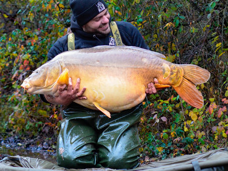 Pêcheur tenant une carpe record de plus de 30 kg au bord d’un lac, prise exceptionnelle de pêche de la carpe