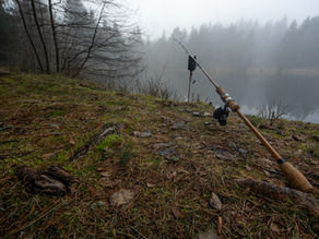 L’écho d’un Optonic dans les étangs sauvages d’Auvergne
