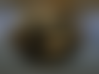 deeper chirp 4 sonar connecté camouflage pêche carpe analyse fond eau