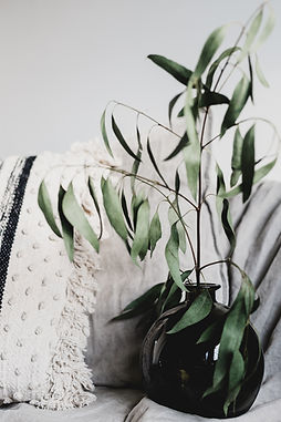 greenery representing wellness