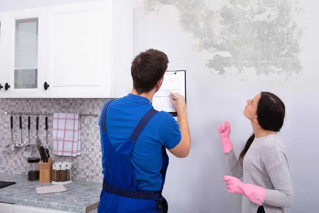 Indoor-mold-inspection-with-homeowner.webp