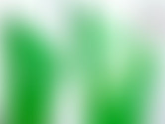 Kỷ Niệm Chương Theo Yêu Cầu — Tất Cả Điều Bạn Cần Biết Trước Khi Đặt Hàng