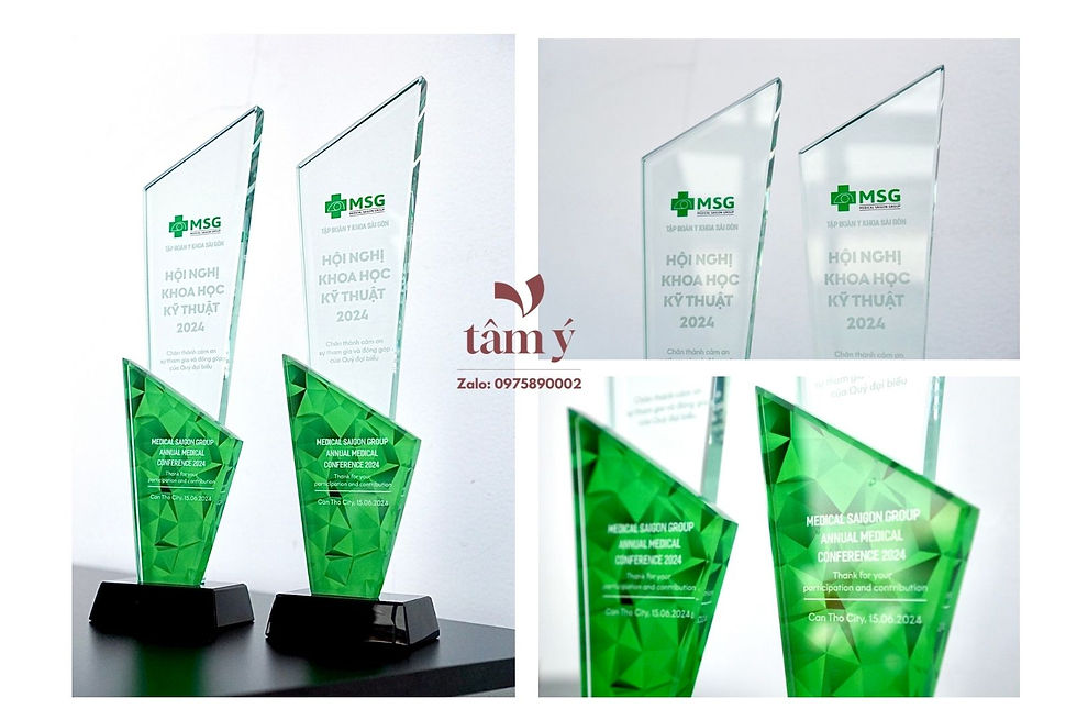 Kỷ niệm chương pha lê khắc logo theo yêu cầu — Tâm Ý Group Cần Thơ