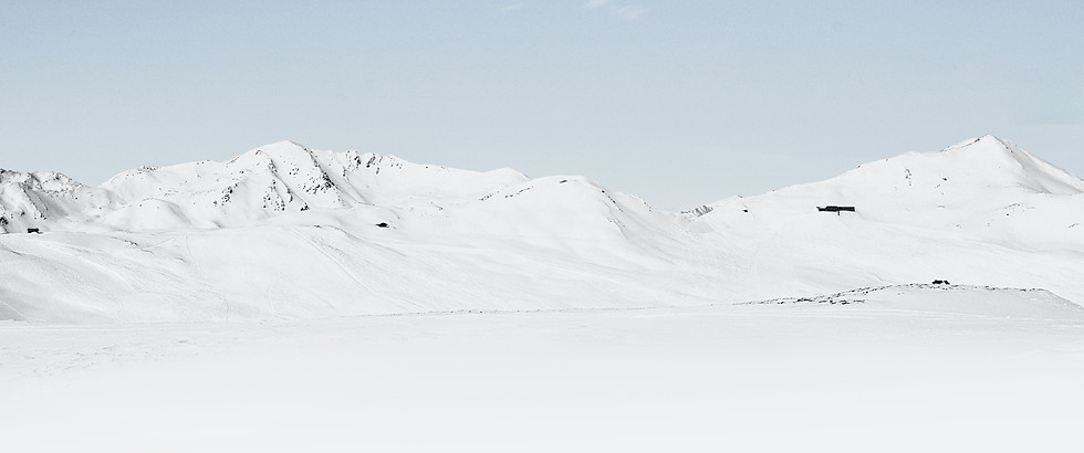 Arctic Fox Publishing House Logo with snowy mountain background