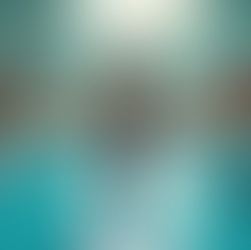 Rehabilitation and Training Opportunities at Indoor Aquatics Facility