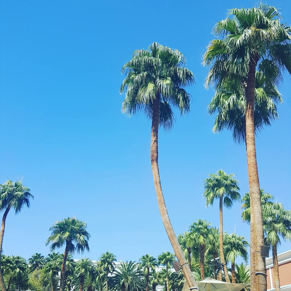 A fabulous review for Treasure Island on the Las Vegas Strip