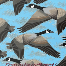 Roger Bradley
Original Painting on Stretched Canvas
610mm High x 920mm Wide