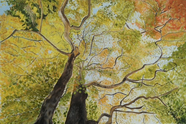 trees