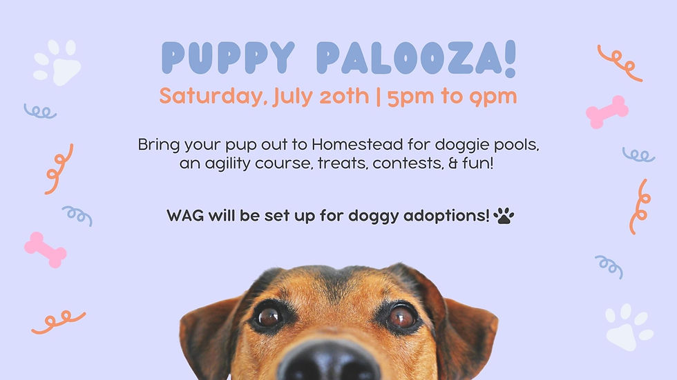 Puppy Palooza Party!