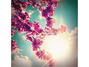Surrender, Flow and the Power of the Feminine