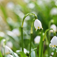 What is Awakening, and how to navigate it?