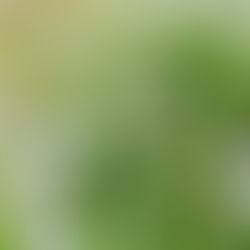 What is Awakening, and how to navigate it?