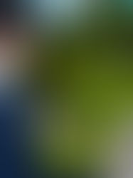 Review phim“Cuộc Đời Đầu Tiên”: Những câu chuyện “rất đời” của những cô gái tuổi 30