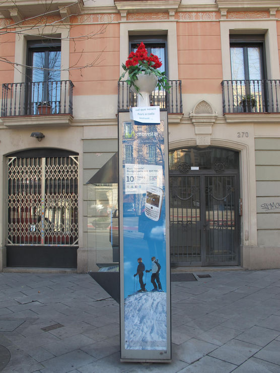 Flores urbanas