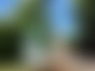 Beyond the Price Tag: Why Contract Terms Matter More Than You Think