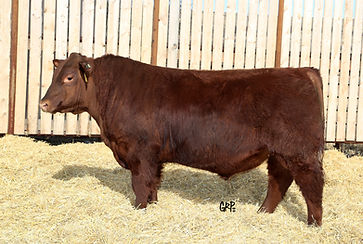 1GRP4623_FKR 110C.jpg