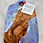 Thumbnail: Pastel Dreams Olive Wood Server
