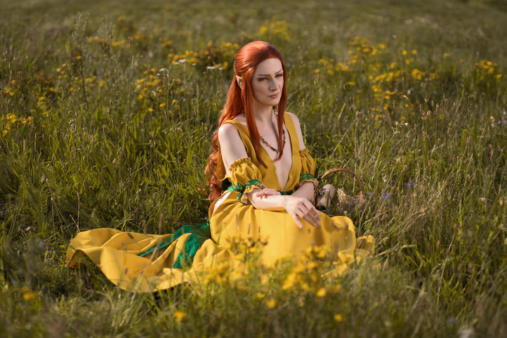 Ida Emean aep Sivney - GWENT: The Witcher Card Game